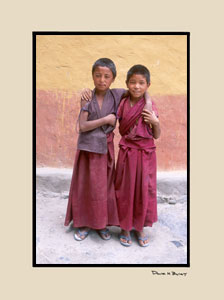 young buddhist lamas