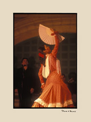 Flamenco Dancer