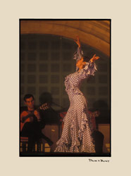 Flamenco Dancer