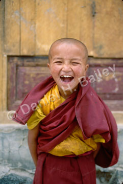 young buddhist lama