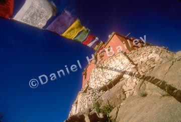 Prayer Flags, Ladakh, India